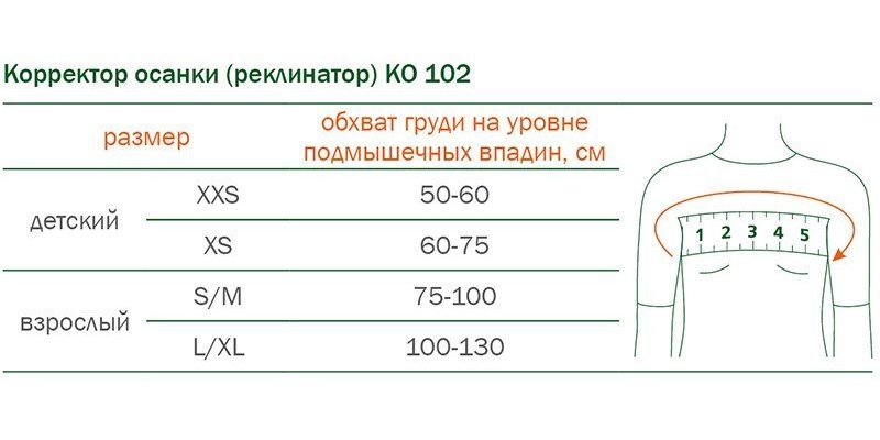 Корректор осанки КО-102 Orto, умеренная фиксация купить в OrtoMir24